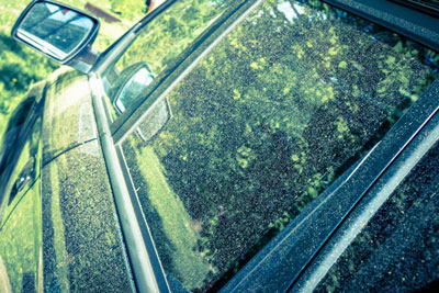 5 Tips to Protect Your Car From Pollen